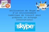 Utilisation de Skype et d'un environnement numérique de travail pour préparer un échange international.