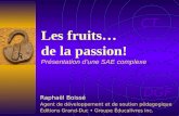 DGF CT Raphaël Boissé Agent de développement et de soutien pédagogique Éditions Grand-Duc Groupe Éducalivres inc. Les fruits… de la passion! Présentation.