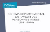 COPIL 15.11.2010 SCHEMA DEPARTEMENTAL EN FAVEUR DES PERSONNES AGEES (2011-2016)