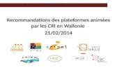 Recommandations des plateformes animées par les CRI en Wallonie 21/02/2014 Recommandations des plateformes animées par les CRI en Wallonie 21/02/2014 SRI.