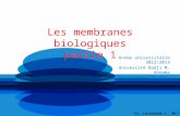 Les membranes biologiques partie 1 Année universitaire 2012/2013 Université Badji M. Annaba Département TC SNV.