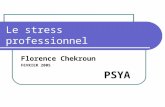 Le stress professionnel Florence Chekroun FEVRIER 2005 PSYA.