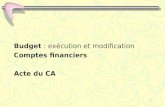 1 Budget : exécution et modification Comptes financiers Acte du CA.