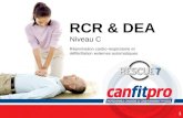 CPR Course Level 1 RCR & DEA Niveau C 1 Réanimation cardio-respiratoire et défibrillation externes automatiques.