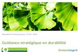 Guidance stratégique en durabilité Bruxelles-Environnement, 15-02- 2010.