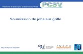Plateforme de Calcul pour les Sciences du Vivant http://clrpcsv.in2p3.fr Soumission de jobs sur grille.