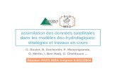 Assimilation des données satellitales dans les modèles éco-hydrologiques: stratégies et travaux en cours G. Boulet, B. Duchemin, P. Maisongrande, O. Merlin,