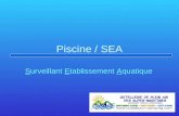 Piscine / SEA Surveillant Etablissement Aquatique.