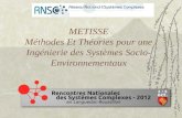METISSE Méthodes Et Théories pour une Ingénierie des Systèmes Socio- Environnementaux.