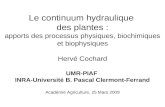 Le continuum hydraulique des plantes : apports des processus physiques, biochimiques et biophysiques Hervé Cochard UMR-PIAF INRA-Université B. Pascal Clermont-Ferrand.