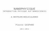 NANOPHYSIQUE INTRODUCTION PHYSIQUE AUX NANOSCIENCES Pierre GASPARD 2011-2012 6. MOTEURS MOLECULAIRES.