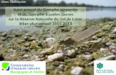 Orléans, 4 décembre 2013 Suivi annuel du Gomphe serpentin et du Gomphe à pattes jaunes sur la Réserve Naturelle du Val de Loire. Bilan pluriannuel 2011-2013.