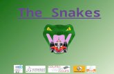 The Snakes. Sommaire 1 – L'équipe (p 2-7) - les personnes - le thème - le logo - le planning - le stand 2 – La voiture (p 8-13) - les inspirations - la.