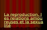 La reproduction, les relations amoureuses et la sexualité La reproduction, les relations amoureuses et la sexualité.