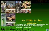 1 La CITES et les plantes  © Copyright CITES Secretariat 2011 Convention sur le commerce international des espèces de faune et de flore sauvages.