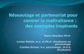 Marie Beaulieu Ph.D. Louise Belzile, m.a. et Ph.D. (étudiante) en gérontologie Cynthia Brunet, b.a. psychologie, M.S.S. (étudiante)