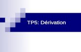 TP5: Dérivation. Rappels théoriques Formules standards de dérivées.