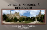 Ille-sur-Têt (Pyrénées Orientales) Les orgues Le site des orgues a été classé en 1981 dans le cadre de la loi du 2 mai 1930 relative à la protection.