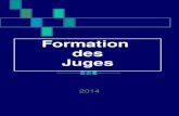Formation des Juges 2014. Le Jugement en slalom Organisation de la formation 1 – Les OFFICIELS : différentes fonctions, rôle,environnement…. 2 - Nécessité.