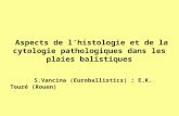 Aspects de l’histologie et de la cytologie pathologiques dans les plaies balistiques S.Vancina (Euroballistics) ; E.K. Touré (Rouen)