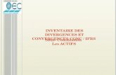 Sous- Commission Les ACTIFS INVENTAIRE DES DIVERGENCES ET CONVERGENCES CGNC / IFRS.