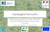 Campagnol terrestre Développement de lutte intégrée Natura 2000 Oiseaux Pays des Couzes Dauzat-sur-Vodable – 30 janvier 2014.