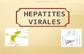 Mouffok N Hépaties virales HEPATITES VIRALES. Mouffok N Hépaties virales  Foie = organe vital  Fonction d’épuration et de synthèse de nombreuses substances.