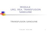 F. GAILLARD - Février 20061 MODULE URG. REA. TRANSFUSION SANGUINE TRANSFUSION SANGUINE.