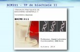 BCM311 - TP de biochimie II Automne 2014. Évolution des TPs - vers autonomie  BCM111 - TP conventionnel – projet décrit, méthodes données, matériel préparé.
