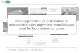 P. Abgrall – groupe MIS – LAAS/CNRS1 développement et caractérisation de microtechnologies polymères monolithiques pour les laboratoires sur puces.