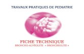 TRAVAUX PRATIQUES DE PEDIATRIE F ICHE T ECHNIQUE BRONCHO-ALVÉOLITE « BRONCHIOLITE »