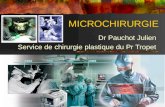 MICROCHIRURGIE Dr Pauchot Julien Service de chirurgie plastique du Pr Tropet.