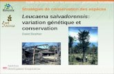 Guide de formation sur les ressources génétiques forestières Stratégies de conservation des espèces Leucaena salvadorensis: variation génétique et conservation.