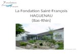 La Fondation Saint-François HAGUENAU (Bas-Rhin) 26 Novembre 2013.