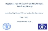 Regional Food Security and Nutrition Working Group Impact de l’épidémie EVD sur la sécurité alimentaire FAO - WFP 25 septembre 2014.