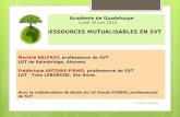 Académie de Guadeloupe Lundi 30 Juin 2014 RESSOURCES MUTUALISABLES EN SVT Martine BELFROY, professeure de SVT LGT de Baimbridge, Abymes. Frédérique ANTOINE-FIRMO,