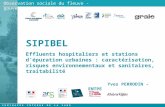S E M I N A I R E I N T E R N E D E L A Z A B R 20 et 21 DECEMBRE 2012 - THURINS (69) Observation sociale du fleuve - gouvernance SIPIBEL Effluents hospitaliers.