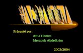 Présenté par : Attia Hamza Merzouk Abdelkrim 2003/2004.