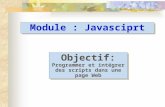 I- Introduction au langage II- Le formalisme de base III- Les Objets JavaScript IV- Les Variables V- Opérateurs prédéfinis VI- Les Entrées/Sorties VII-