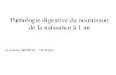 Pathologie digestive du nourrisson de la naissance à 1 an Dr Isabelle ARMELIN 20/10/2005.