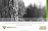 Projet de Cogénération Biomasse du Taravo à partir de bois énergie en Corse Strictement confidentiel.