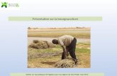 Présentation sur la bourgouculture Atelier sur les pratiques d’irrigation pour les régions du Nord Mali, mars 2014.
