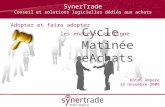 SynerTrade Conseil et solutions logicielles dédiés aux achats Cycle Matinée eAchats Adopter et faire adopter les enchères en ligne Hôtel Ampère 13 novembre.