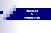Routage & Protocoles. Routage Le protocole IP propose :  un format de paquets,  un format d'adressage et  une logique d'acheminement des paquets entre.