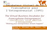 Incubateur Virtuel de la Francophonie pour l’Entrepreneuriat (IVFE) The Virtual Business Incubator for Francophone Entrepreneurs Niveau 6, Bâtiment MCA,