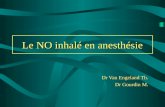 Le NO inhalé en anesthésie Dr Van Engeland Th. Dr Gourdin M.