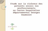 Etude sur la violence des patients envers les professionnels au Centre hospitalier départemental Georges Daumezon.