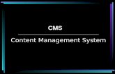 Content Management System CMS. Pourquoi ? Obligation de ressaisir des contenus publiés à plusieurs endroits Pas d’outils de gestion de qualité de l’information.