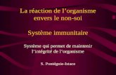 La réaction de l’organisme envers le non-soi Système immunitaire Système qui permet de maintenir l’intégrité de l’organisme S. Pontégnie-Istace.
