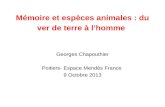 Mémoire et espèces animales : du ver de terre à l’homme Georges Chapouthier Poitiers- Espace Mendès France 9 Octobre 2013.